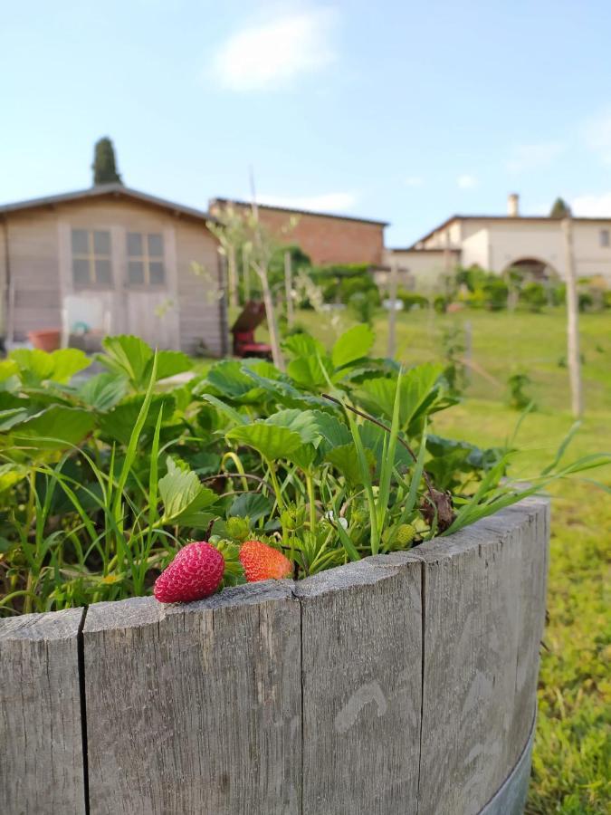 Agriturismo Villa Adimari 체레토구이디 외부 사진