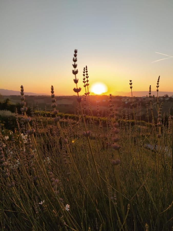 Agriturismo Villa Adimari 체레토구이디 외부 사진